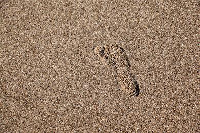 休闲模拟游戏《ASMR美食体验》上线Steam 支持中文